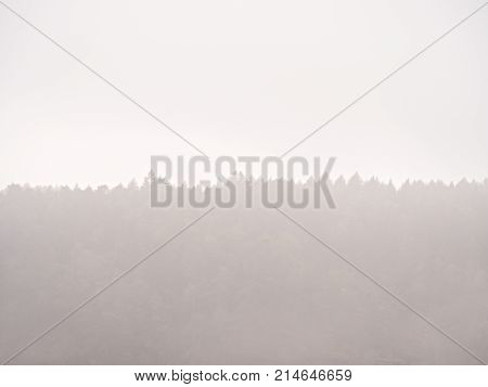 Fairy Daybreak In Silent Landscape.the Thick Fog Is Swinging Between Hill Sides And Strip Over Trees
