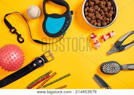 Dog accessories on yellow background. Top view. Pets and animals concept. Still life. Copy space. Flat lay