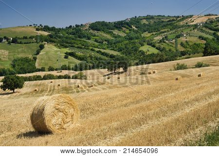 Landscape Near Ascoli Piceno At Summer
