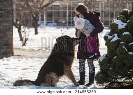 Mom and little daughter walking in a winter day and play with her dog