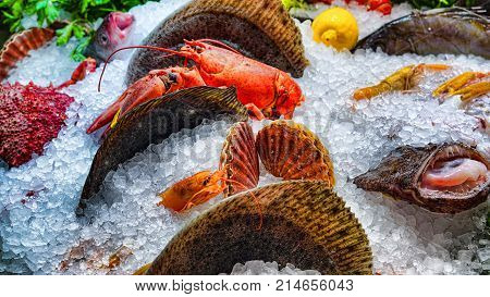 Fresh different fish on ice in a supermarket. Fresh fish in a fish shop