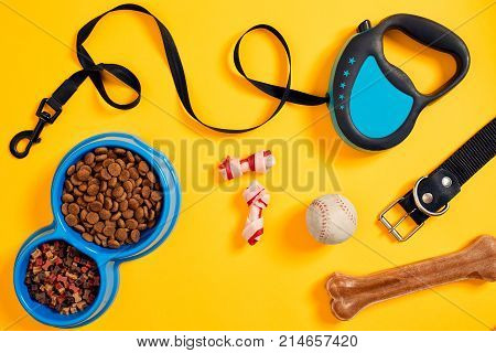Dog accessories on yellow background. Top view. Pets and animals concept. Still life. Copy space. Flat lay