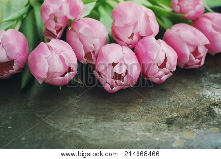 Bouquet Of Pink Tulips