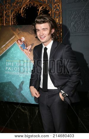 LOS ANGELES - NOV 17:  Joe Keery at 