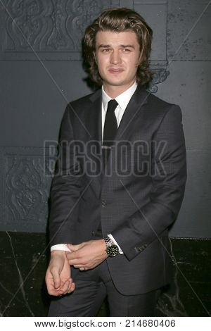 LOS ANGELES - NOV 17:  Joe Keery at 