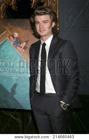 LOS ANGELES - NOV 17:  Joe Keery at 