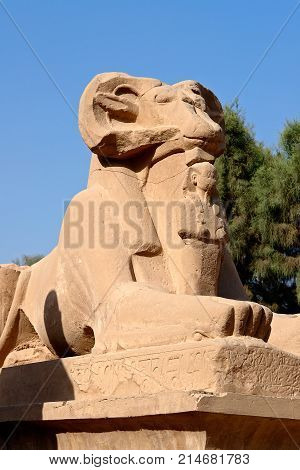 Close-up on ram-headed Sphinx in Karnak Temple - Luxor, Egypt. The avenue of sphinxes consist of statues with lions' bodies and the heads of rams, symbolizing Amun.