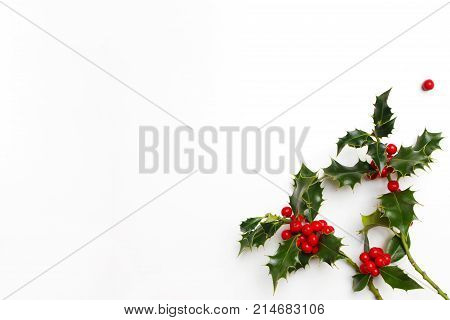 Christmas holly floral decoration on white background. Evergreen leaves with red berries and empty space for holiday text, styled stock photo, top view.