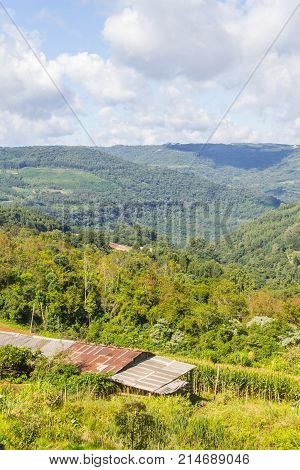 Farm In Valley And Birds In Nova Petropolis