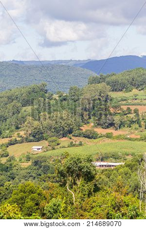 Farm In Valley And Birds In Nova Petropolis