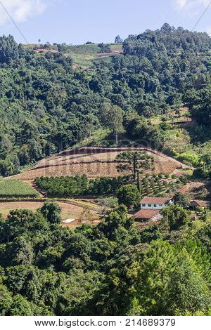 Farm In Valley And Birds In Nova Petropolis