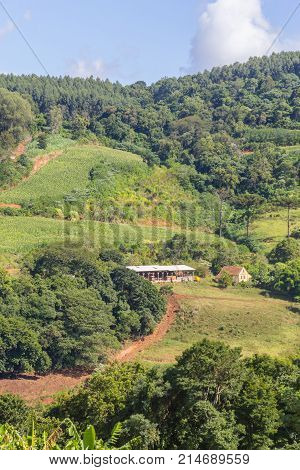 Farm In Valley And Birds In Nova Petropolis