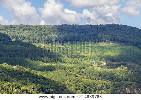 Farm In Valley And Birds In Nova Petropolis