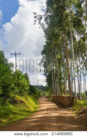 Farm In Valley And Birds In Nova Petropolis