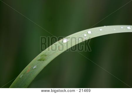 Waterdruppel