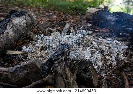 bbq place in forrest with small fire burning and grey ash and smoke