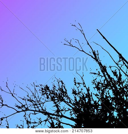 Vector grass and tree landscape silhouette. Realistic tree folliage silhouettes in night and evening sky. Outdoor nature scene, view from bottom.