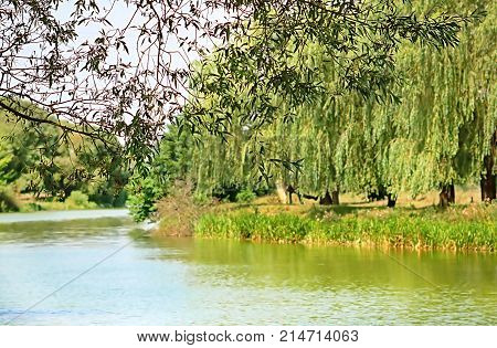 Beautiful foliage pattern and river Southern Buh in near Vinnytsia, Ukraine in the summer