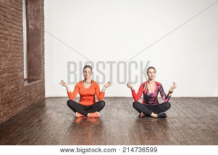 Yoga Concept. Two Cute Woman Sit In Lotus Pose And Meditating