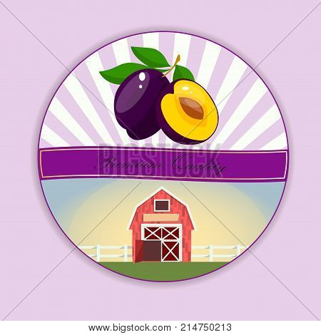 Vector square label, plum jam, sauce or juice label. Ripe plum for food and drink label, tropical dessert or exotic juice packaging design. Plum Farm