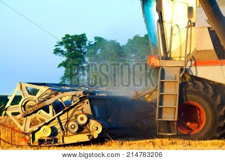 Combine machine is harvesting oats on farm field. combine harvester working on a wheat field. Combine harvester cuts the field of mature ripe yellow wheat