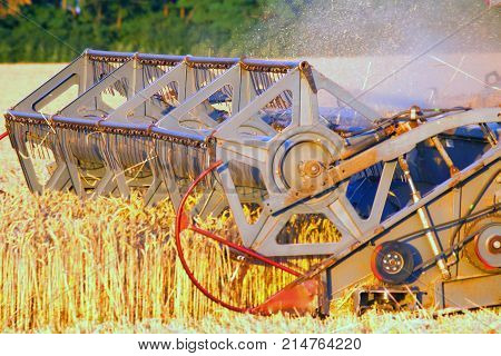 Combine machine is harvesting oats on farm field. combine harvester working on a wheat field. Combine harvester cuts the field of mature ripe yellow wheat