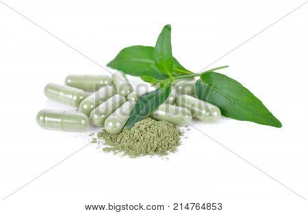 fresh kariyat leaves ground and capsule herb on white background