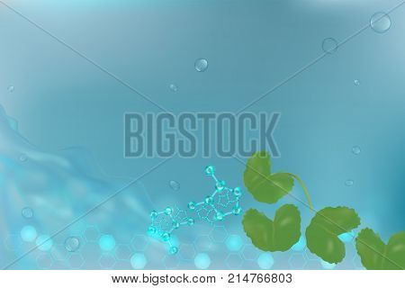 Centella asiatica on blue background with space for text. illustration vector.