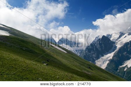 Dombai