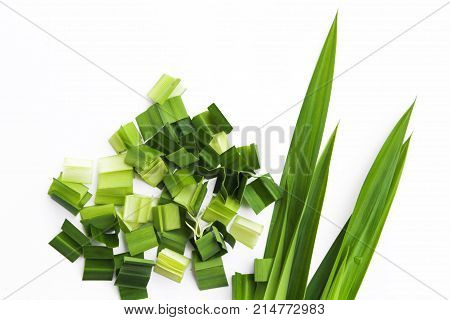 Fresh Pandan leaves isolated on white background