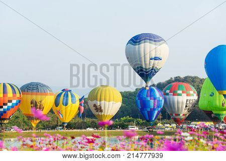 Chiangrai Thailand - Febuary 16 2017 : Singha Park International Balloon Fiesta 2017 In Singha Park,