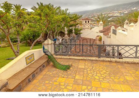 Montaneta Tenerife April 2014: Monasterio is a set of restaurants gardens farm and walks is located at the foot of a volcanic mountain Montaneta.