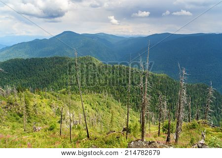Top Of Kokuya Mountain. Altai Republic. Russia