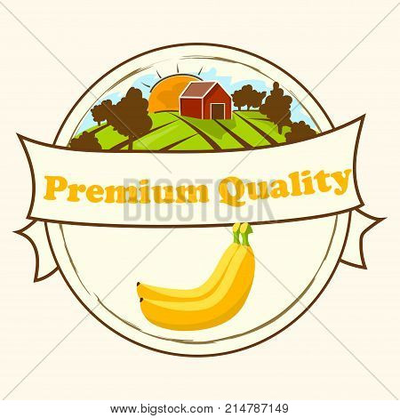 Banana fruit vector illustration. Vector round label, banana jam, sauce or juice label. farm products. eco friendly fruits