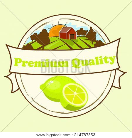 Sweet juicy whole and slice lemon or lime fruit symbol for jam and juice product label or grocery store, shop and farm market design. lime or mojito jam, sauce or juice label