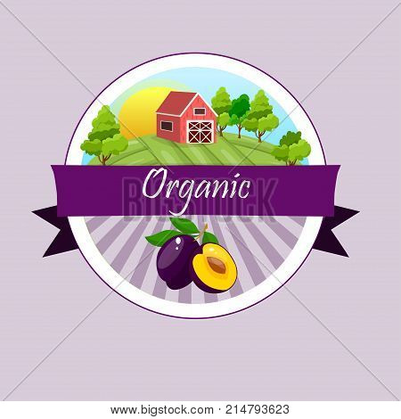 Vector square label, plum jam, sauce or juice label. Ripe plum for food and drink label, tropical dessert or exotic juice packaging design. Plum Farm