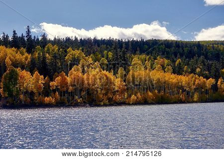 Zion National Park, USA, 2017, 10.02: Autumn colors at the Kolob Reservoir in the Zion National Park in the USA.