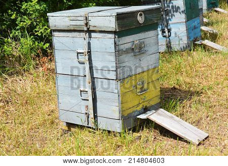 Close up on Wooden Beehive. Apiculture beekeeping.