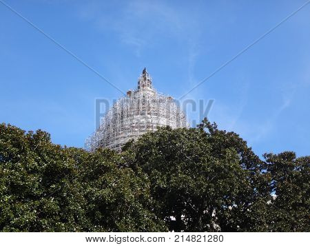 Capitol Hill Dome And The Tree Tops