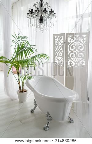 Beautiful luxury vintage empty bathtub near big window in bathroom interio free space. Freestanding white bath near folding screen and palm tree copy space
