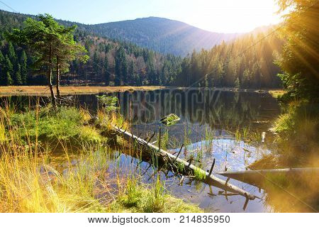 Moraine lake Kleiner Arbersee in National park Bavarian forest. Autumn landscape in Germany.