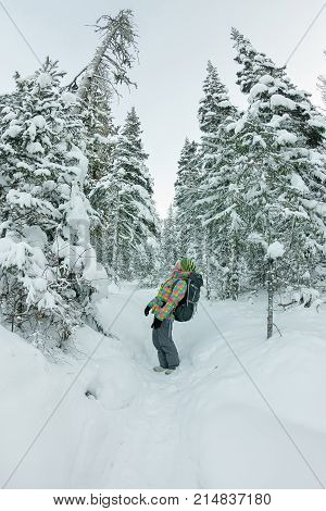 Happy Tourist Girl With A Backpack Walks In A Winter Forest Among Large Trees