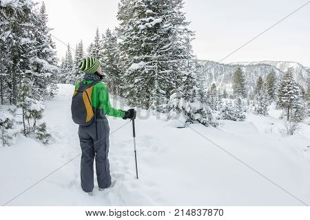 Happy Tourist Girl With A Backpack Walks In A Winter Forest Among Large Trees