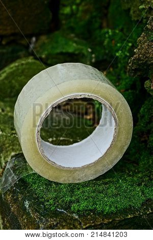 a hank of transparent scotch lies on old stones covered with moss