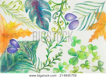 hand draw tropical leaves on white backgroundillustrator image