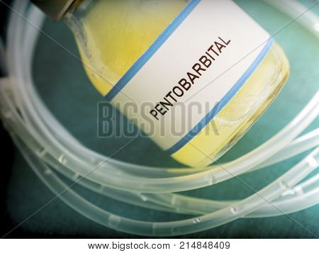 Vial with pentobarbital used for euthanasia and lethal inyecion in a hospital, conceptual image