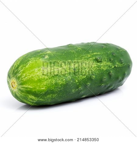 Whole green cucumber isolated on white background