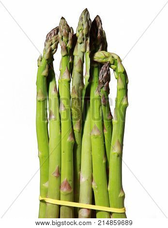 Bundle of  Green asparagus shoots Isolated white background png file