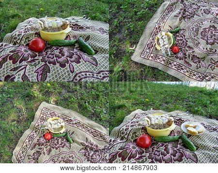 A set of four photos in one style of the meat on skewers and of the vegetables on the a blanket for picnic or camping. Fresh pickled meat in the sauce prepared for frying on an open fire red juicy tomatoes green cucumbers and bread lie on the coverlet on