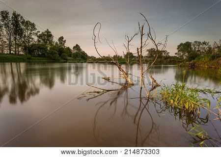 Warm Sunset Over Warta River In Warta Landscape Park, Poland.